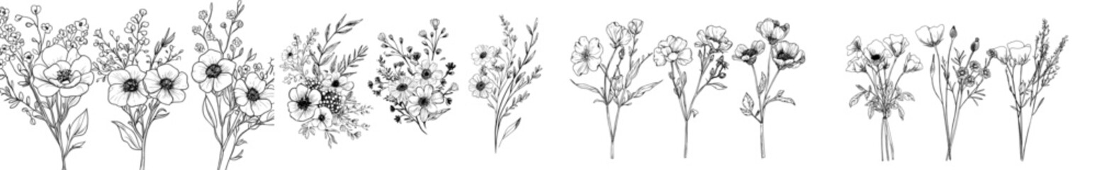 Modern set of flower bouquets, hand-drawn flowers. Wildflower line art collection, featuring wild plants, a botanical modern illustration