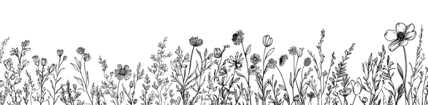 Seamless botanical border with trendy meadow greenery and flowers. Elegant hand-drawn thin line art style pattern ideal for wedding invitations, wall art, and card templates. Modern illustration