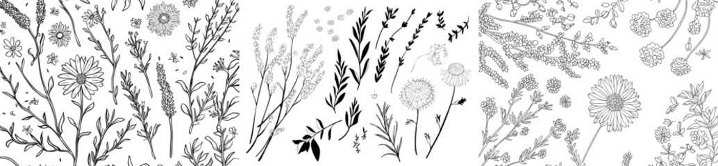 A contemporary outline illustration of the Herb Flower Set. Including hand-drawn calendula and medicinal chamomile clipart. The design showcases black line art of officinalis wildflower and leaves,