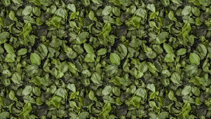 Close-up view of lush green leaves, covering a ground surface; dense foliage pattern