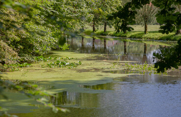 Alstätter Aa bei der Haarmühle