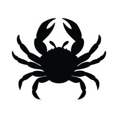 crab on white background on vector lllustration