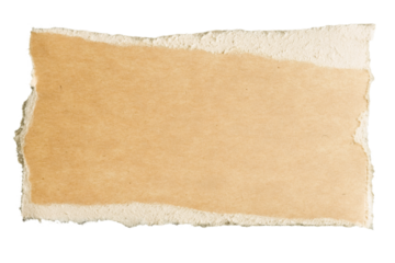 torn piece of paper on a transparent background