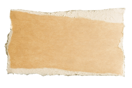 torn piece of paper on a transparent background