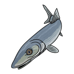 bonefish fishing illustration logo vector image t shirt