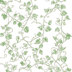 flowers and leaves in pictures illustrator2D