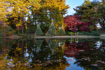 池に反射する秋の日本庭園（東京都調布市・神代植物公園）