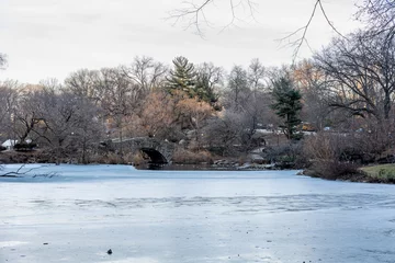 Poster Frozen Pond in Central Park, Jan 30 2025. Showcasing the iconic Gapstow Bridge, a historical stone bridge. Muted colors showcase the beauty of winter in New York City. 