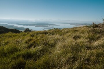 Scenic view of lush green grass and river.