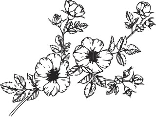 Flower Drawing