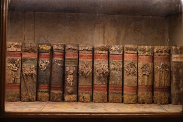 Books with herbariums on shelf