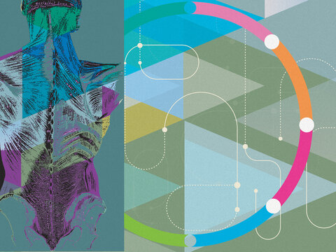 Abstract pattern of connections and human anatomy