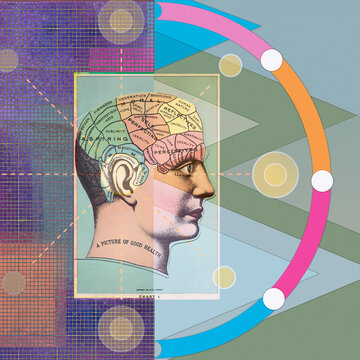 Abstract pattern of connections and phrenology head