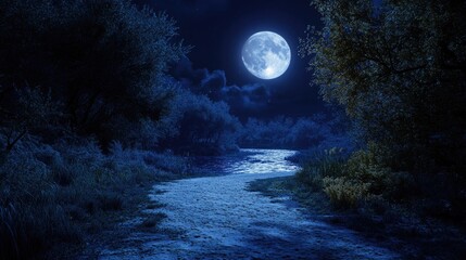 Fototapeta premium Nighttime forest scene with the moon over a calm river reflecting trees and sky.