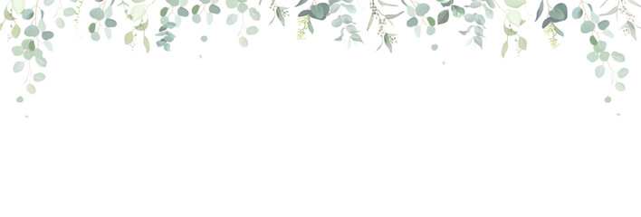Herbal eucalyptus selection vector frame. Hand painted branches, leaves on white background. Greenery wedding simple minimalist invitation. Watercolor style card. Elements are isolated and editable