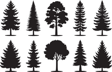 Fototapeta premium A set of pine tree silhouette vectors with black pine tree illustration design are isolated on a white background.