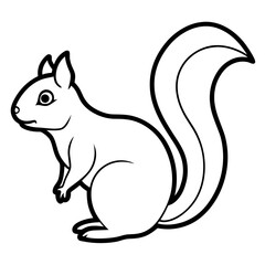 Obraz premium squirrel on a white background