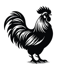 Chicken  silhouette vector on white background
