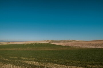 Obraz premium Rolling hills with green and brown fields under a clear sky.