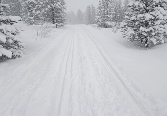 Obraz premium The snow-covered ground is marked with slaloming tracks