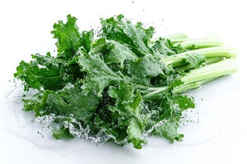Fototapeta premium Washing fresh dandelion greens under running water. These healthy leaves can be added to salads or used in cooked dishes.