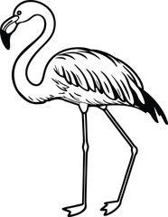 Obraz premium A flamingo silhouette,silhouette of a flying flamingo on white