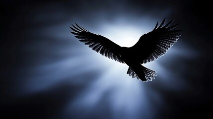 Obraz premium Majestic silhouette of a bird with spread wings against a luminous background creating a dramatic effect