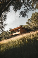 A contemporary wooden house is beautifully situated on a lush green hillside, enveloped by trees and basking in the warmth of a clear daytime sky