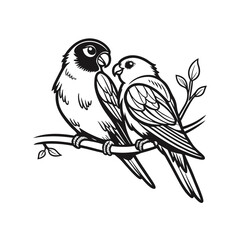 Black and white cute love birds