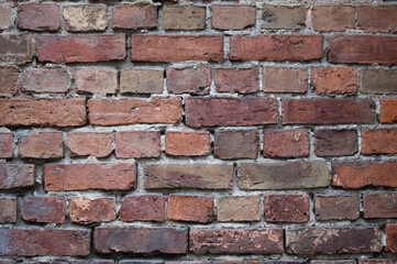The photo shows a close-up of a brick wall