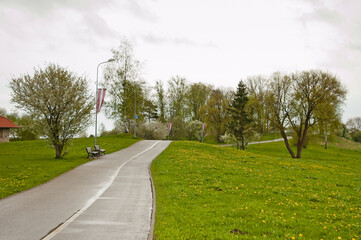 pedestrian and bicycle path in the park on a cloudy summer day