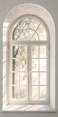 Arched Window Sunlit Tree Through Paneled Glass, White Interior, Nature View, Photography, Window Light Window Photography, Nature Photography