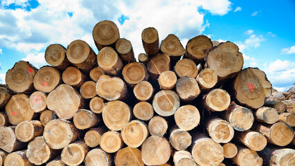 The photo shows round logs stacked against a blue sky
