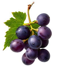 Ripe grape isolated transparent background. a sample for package design.