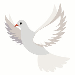 Obraz premium White Dove flying against a light background