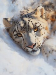 Fototapeta premium A snow leopard lies comfortably on the snow, with its beautiful fur blending into the winter landscape under soft light