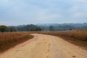 country road in autumn