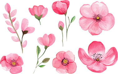 seamless pattern of pink flowers