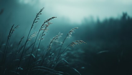 Atmospheric visuals enhance the depth of a composition.