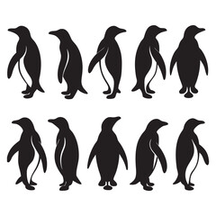 Obraz premium Penguin silhouettes set antarctica pack of vector silhouette design 