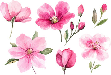 bouquet of pink flowers