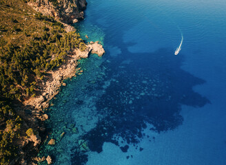 Aerial view of a rocky coastline with lush green vegetation and crystal-clear blue sea © Ionia