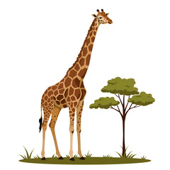Obraz premium Abstract Giraffe with Long Neck Towering Over Trees