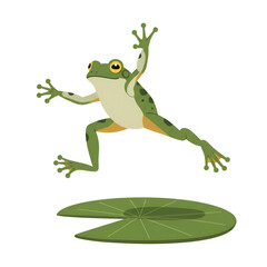Lively Frog on a Lily Pad with Legs Extended in Mid-Jump