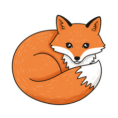Obraz premium Playful Fox Curled Up in a Cozy Ball of Fur
