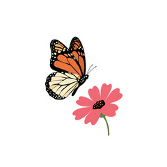 Obraz premium Simple Butterfly Fluttering Near a Single Flower