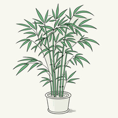 bamboo plant isolated on white