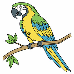 parrot on branch