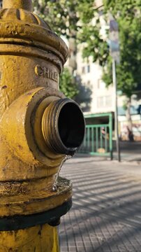 Yellow Fire Hydrant Spraying Water onto City Sidewalk
