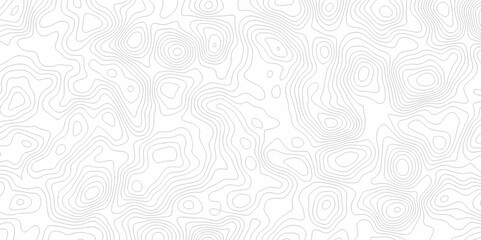 White topography topology vector white background fresh contour map texture. white seamless pattern Abstract background with a wave Topography and geography map grid abstract backdrop.